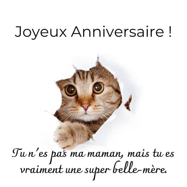 For My Mother-in-Law