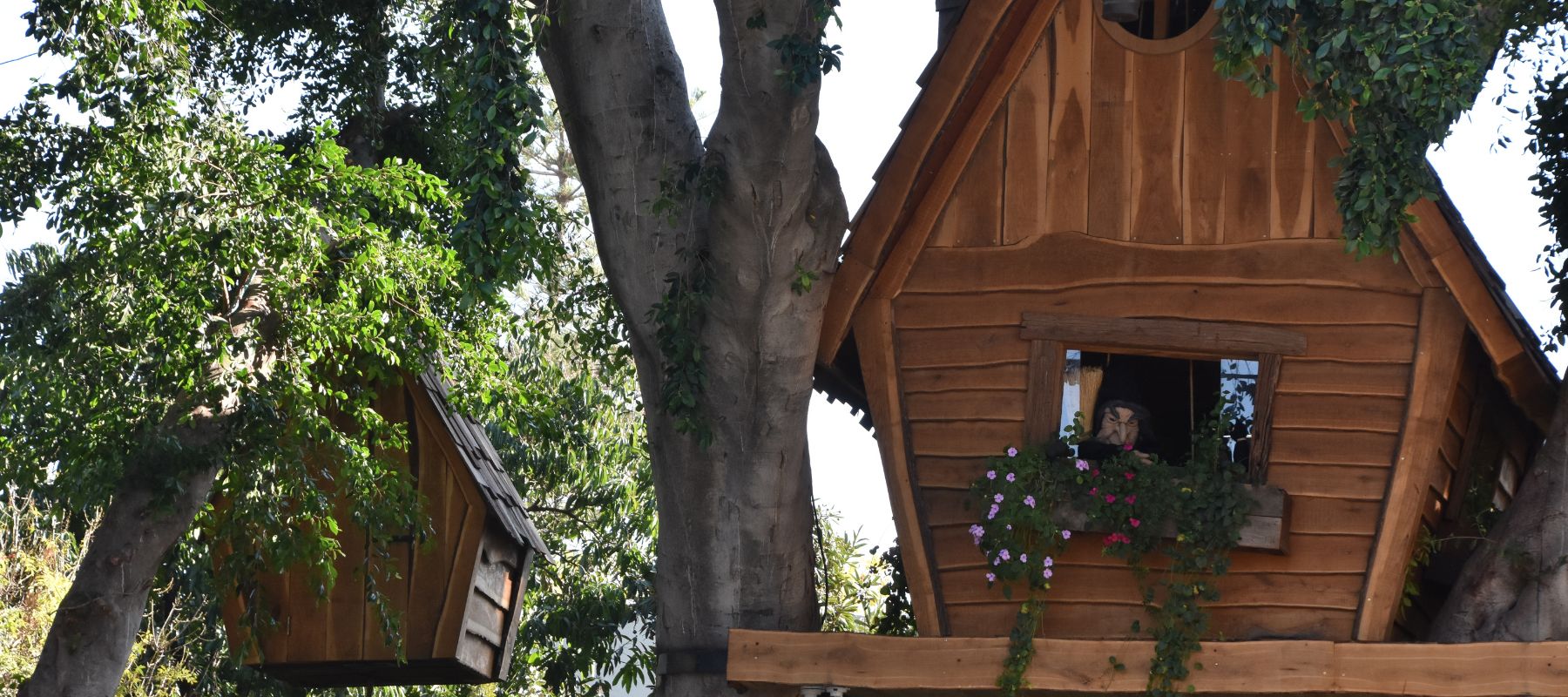 Romantic weekend in a tree house